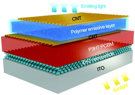 Graphical abstract: Dual-function optoelectronic polymer device for photoelectric conversion and electroluminescence