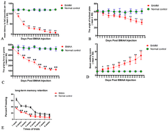 Graphical abstract: Intravenous injection of l-BMAA induces a rat model with comprehensive characteristics of amyotrophic lateral sclerosis/Parkinson–dementia complex