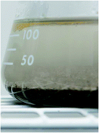 Graphical abstract: A novel, density-independent and FTIR-compatible approach for the rapid extraction of microplastics from aquatic sediments