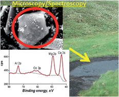 Graphical abstract: Wildfires and water chemistry: effect of metals associated with wood ash