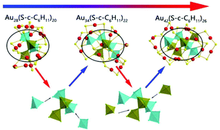 Graphical abstract: A novel double-helical-kernel evolution pattern of gold nanoclusters: alternate single-stranded growth at both ends