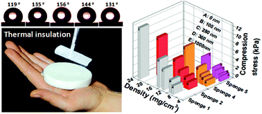 Graphical abstract: Ultralight open cell polymer sponges with advanced properties by PPX CVD coating