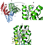 Graphical abstract: Interaction of an anticancer drug, gefitinib with human serum albumin: insights from fluorescence spectroscopy and computational modeling analysis