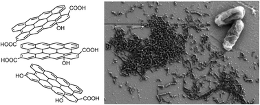 Graphical abstract: Antibacterial activity of graphene-based materials