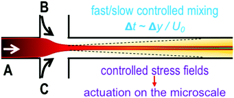 Graphical abstract: SAXS on a chip: from dynamics of phase transitions to alignment phenomena at interfaces studied with microfluidic devices