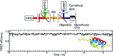 Graphical abstract: Microsecond resolved single-molecule FRET time series measurements based on the line confocal optical system combined with hybrid photodetectors