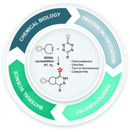 Graphical abstract: Inverse electron demand Diels–Alder reactions in chemical biology