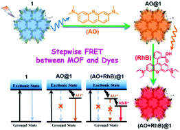 Graphical abstract: Diverse dissolution–recrystallization structural transformations and sequential Förster resonance energy transfer behavior of a luminescent porous Cd-MOF