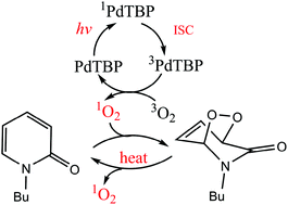 Graphical abstract: Stimuli-responsive protection of optically excited triplet ensembles against deactivation by molecular oxygen