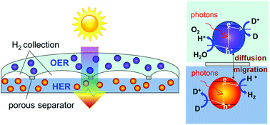 Graphical abstract: Evaluating particle-suspension reactor designs for Z-scheme solar water splitting via transport and kinetic modeling