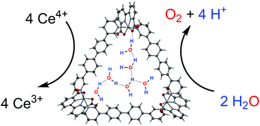 Graphical abstract: Cooperative water oxidation catalysis in a series of trinuclear metallosupramolecular ruthenium macrocycles