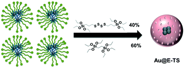 Graphical abstract: Degradable gold core–mesoporous organosilica shell nanoparticles for two-photon imaging and gemcitabine monophosphate delivery