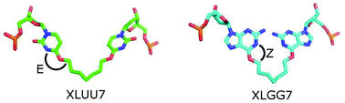 Graphical abstract: Structural basis of interstrand cross-link repair by O6-alkylguanine DNA alkyltransferase