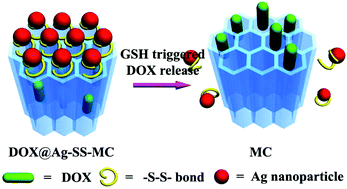 Graphical abstract: A carbon based drug delivery system derived from a one-dimensional coordination polymer, doxorubicin loading and redox-responsive release