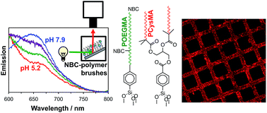 Graphical abstract: Fabrication of microstructured binary polymer brush “corrals” with integral pH sensing for studies of proton transport in model membrane systems