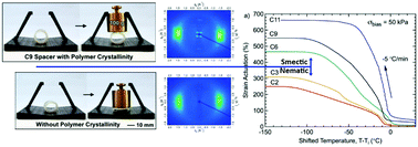 Graphical abstract: High strain actuation liquid crystal elastomers via modulation of mesophase structure