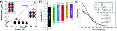 Graphical abstract: Low-toxic metal halide perovskites: opportunities and future challenges