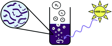 Graphical abstract: pH dependent photocatalytic hydrogen evolution by self-assembled perylene bisimides