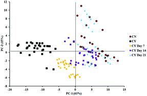 Graphical abstract: Vibrational spectroscopic monitoring and biochemical analysis of pericellular matrix formation and maturation in a 3-dimensional chondrocyte culture model