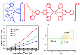 Graphical abstract: Enhanced singlet oxygen generation of a soft salt through efficient energy transfer between two ionic metal complexes