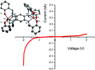 Graphical abstract: Observation of current rectification by the new bimetallic iron(iii) hydrophobe [FeIII2(LN4O6)] on Au|LB-molecule|Au devices