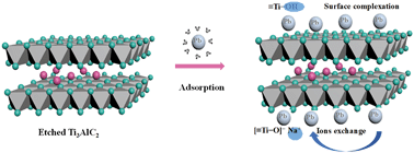 Graphical abstract: Experimental and theoretical calculation investigation on efficient Pb(ii) adsorption on etched Ti3AlC2 nanofibers and nanosheets