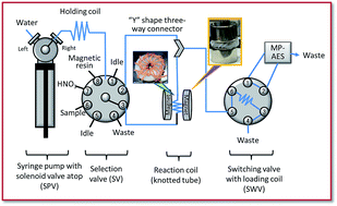 Graphical abstract: On-line pseudo-stationary magnetic solid-phase extraction using magnetic cation exchange microparticles and its application to the determination of strontium