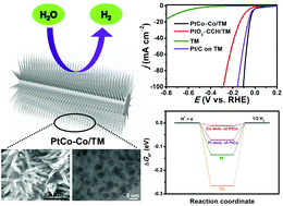 Graphical abstract: An ultrafine platinum–cobalt alloy decorated cobalt nanowire array with superb activity toward alkaline hydrogen evolution