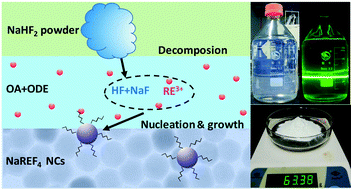 Graphical abstract: Large-scale synthesis of uniform lanthanide-doped NaREF4 upconversion/downshifting nanoprobes for bioapplications