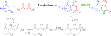 Graphical abstract: Synthesis of 4-trifluoromethyl 2-pyrones and pyridones through the Brønsted base-catalyzed Pechmann-type reaction with cyclic 1,3-diones