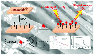 Graphical abstract: Antibacterial activity of a photosensitive hybrid cellulose fabric