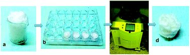 Graphical abstract: Development of 3D PVA scaffolds for cardiac tissue engineering and cell screening applications