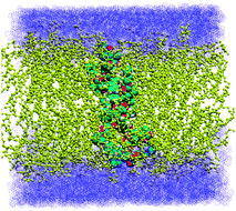 Graphical abstract: Shedding light on the structural properties of lipid bilayers using molecular dynamics simulation: a review study