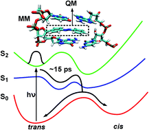 Graphical abstract: Azobenzene as a photoregulator covalently attached to RNA: a quantum mechanics/molecular mechanics-surface hopping dynamics study