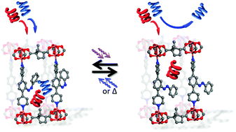 Graphical abstract: Switching the enantioselectivity of nanoporous host materials by light