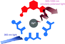 Graphical abstract: Near-infrared circularly polarized luminescence from chiral Yb(iii)-diketonates