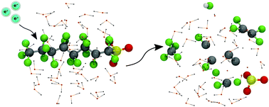 Graphical abstract: Real-time degradation dynamics of hydrated per- and polyfluoroalkyl substances (PFASs) in the presence of excess electrons