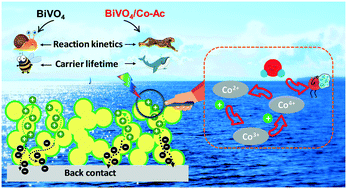 Graphical abstract: Highly conformal deposition of ultrathin cobalt acetate on a bismuth vanadate nanostructure for solar water splitting