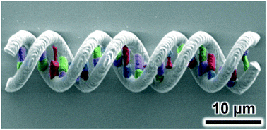 Graphical abstract: A facile multi-material direct laser writing strategy