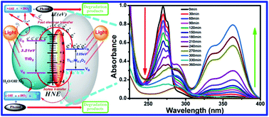 Graphical abstract: Preparation of a Ti0.7W0.3O2/TiO2 nanocomposite interfacial photocatalyst and its photocatalytic degradation of phenol pollutants in wastewater