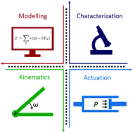 Graphical abstract: Dynamic DNA nanotechnology: toward functional nanoscale devices