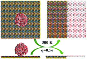 Graphical abstract: Rich topologies of monolayer ices via unconventional electrowetting