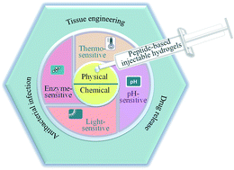 Graphical abstract: Preparation and applications of peptide-based injectable hydrogels