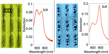 Graphical abstract: Coherent optical coupling of plasmonic dipoles in metallic nanoislands with random sizes and shapes