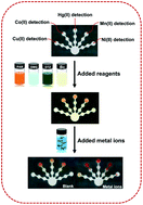 Graphical abstract: Highly selective simultaneous determination of Cu(ii), Co(ii), Ni(ii), Hg(ii), and Mn(ii) in water samples using microfluidic paper-based analytical devices