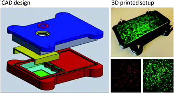 Graphical abstract: A modular microscopic smartphone attachment for imaging and quantification of multiple fluorescent probes using machine learning