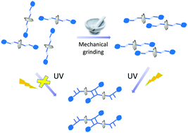 Graphical abstract: Rotation of a helical coordination polymer by mechanical grinding