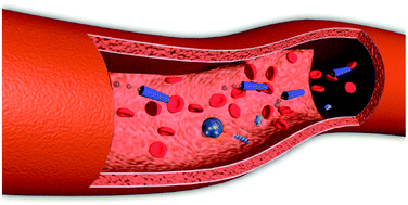 Graphical abstract: Medical micro/nanorobots in complex media