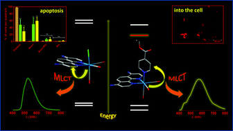 Graphical abstract: Understanding the photophysical properties of rhenium(i) compounds coordinated to 4,7-diamine-1,10-phenanthroline: synthetic, luminescence and biological studies