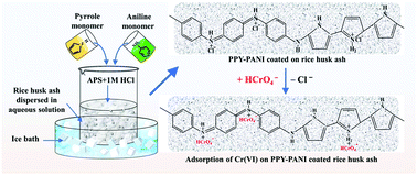 Graphical abstract: Polypyrrole–polyaniline copolymer coated green rice husk ash as an effective adsorbent for the removal of hexavalent chromium from contaminated water